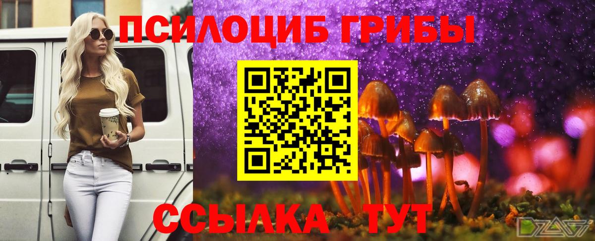 Галлюциногенные грибы Psilocybine cubensis Касимов