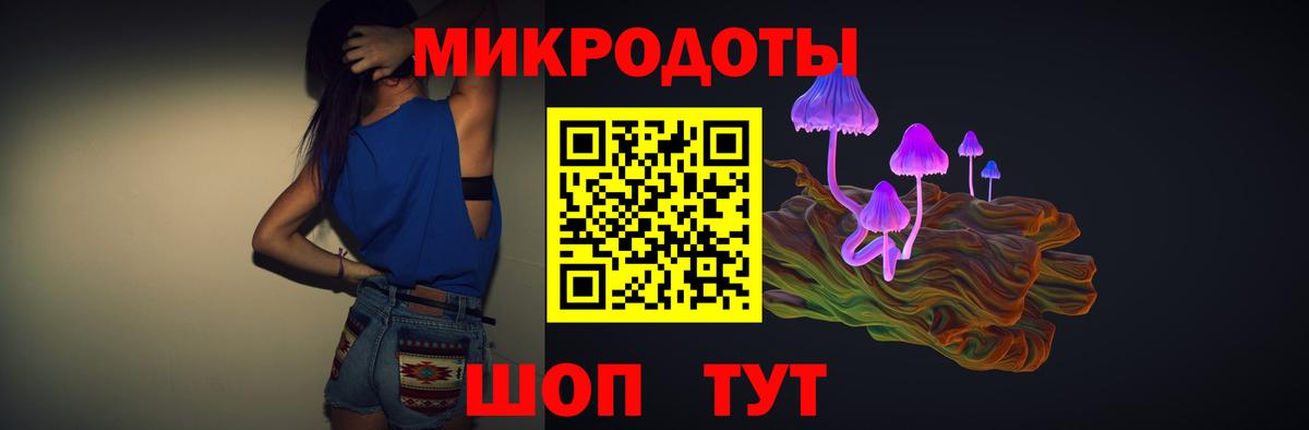 Касимов  Псилоцибиновые грибы Psilocybe  Вход с VPN 